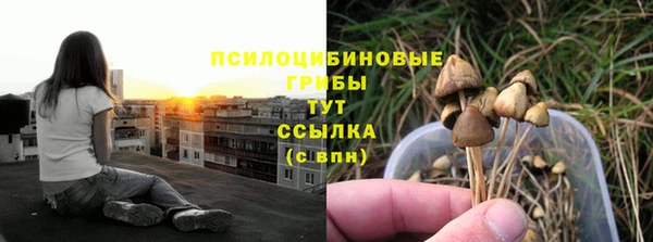 трава Балахна
