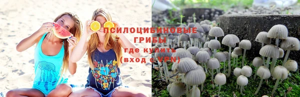 экстази Арсеньев