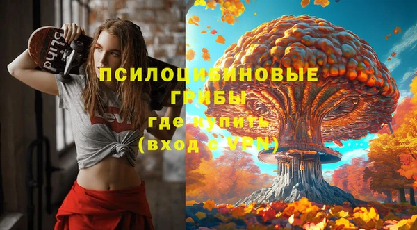 МДПВ Армянск